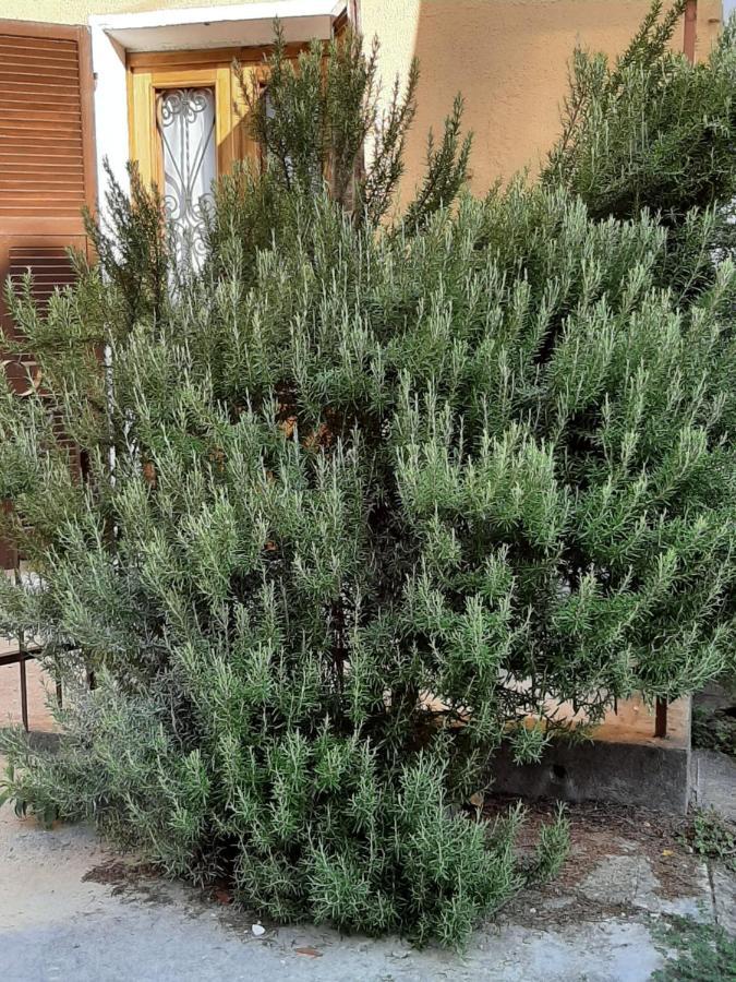 Villa Il Rosmarino Fresonara  Esterno foto